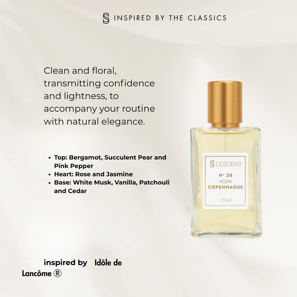 Box + Hit Women's Trilogy Kit No. 22 + No. 24 + No. 28 | 25ml